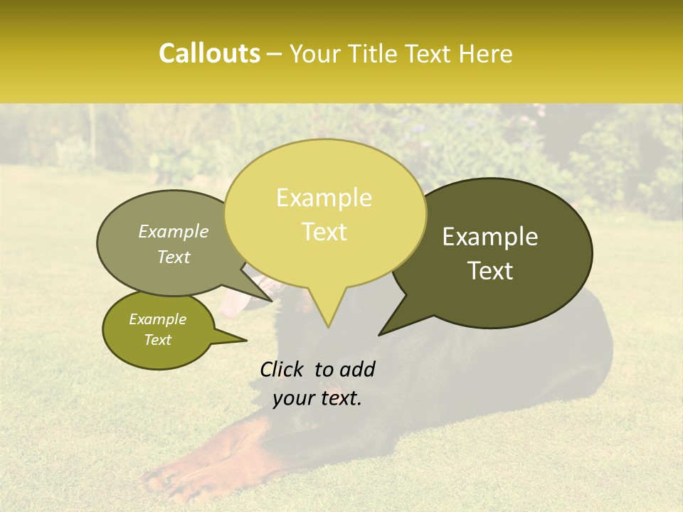 A Black And Brown Dog Laying On Top Of A Lush Green Field PowerPoint Template