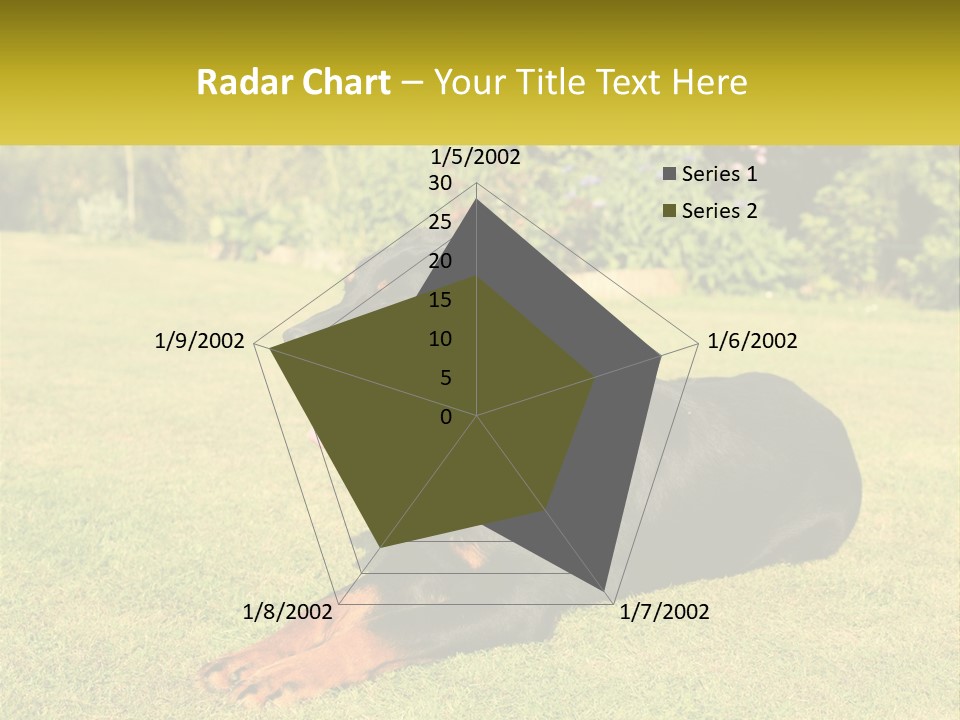 A Black And Brown Dog Laying On Top Of A Lush Green Field PowerPoint Template