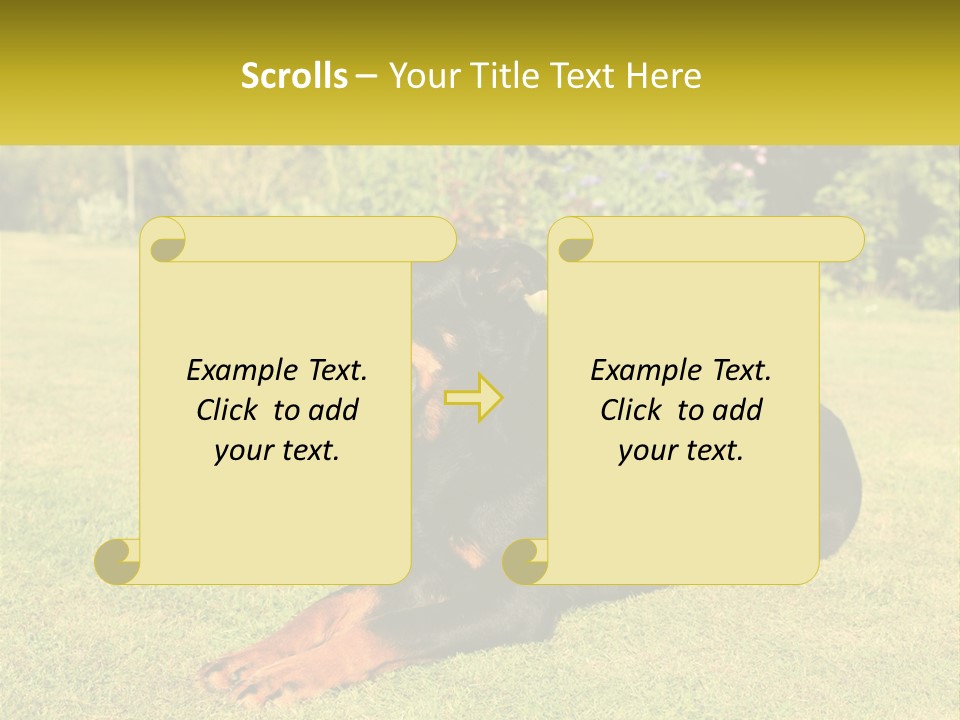 A Black And Brown Dog Laying On Top Of A Lush Green Field PowerPoint Template