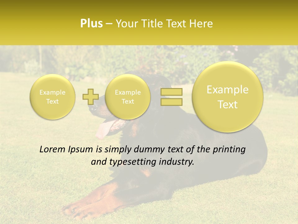 A Black And Brown Dog Laying On Top Of A Lush Green Field PowerPoint Template