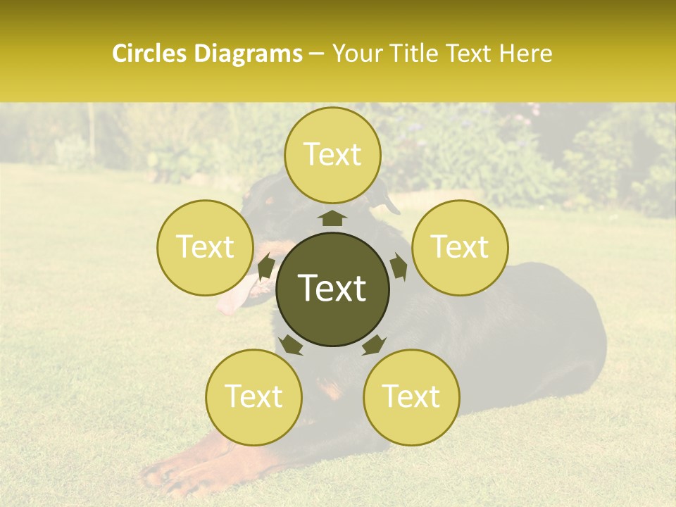 A Black And Brown Dog Laying On Top Of A Lush Green Field PowerPoint Template