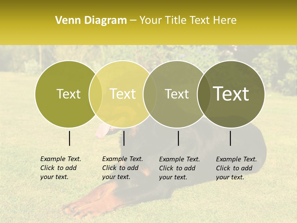 A Black And Brown Dog Laying On Top Of A Lush Green Field PowerPoint Template