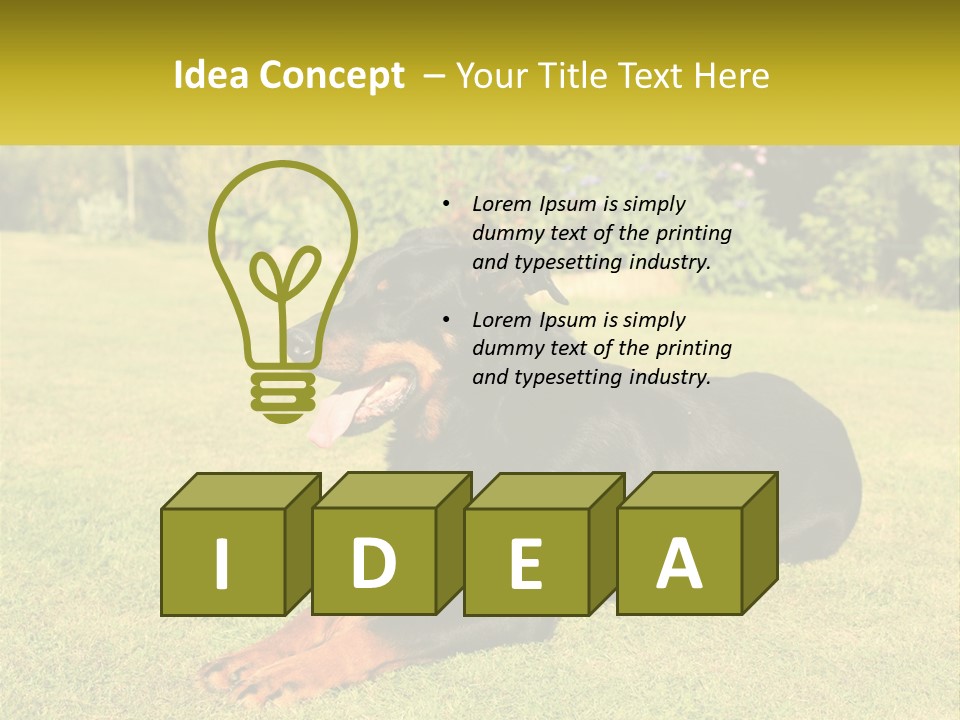 A Black And Brown Dog Laying On Top Of A Lush Green Field PowerPoint Template