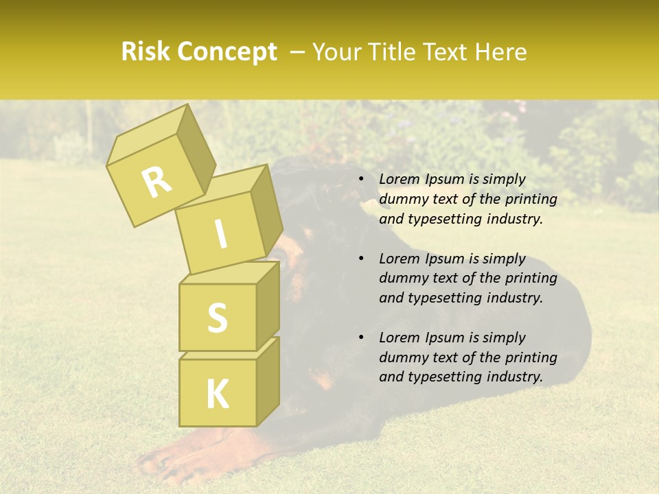 A Black And Brown Dog Laying On Top Of A Lush Green Field PowerPoint Template