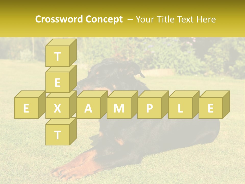 A Black And Brown Dog Laying On Top Of A Lush Green Field PowerPoint Template