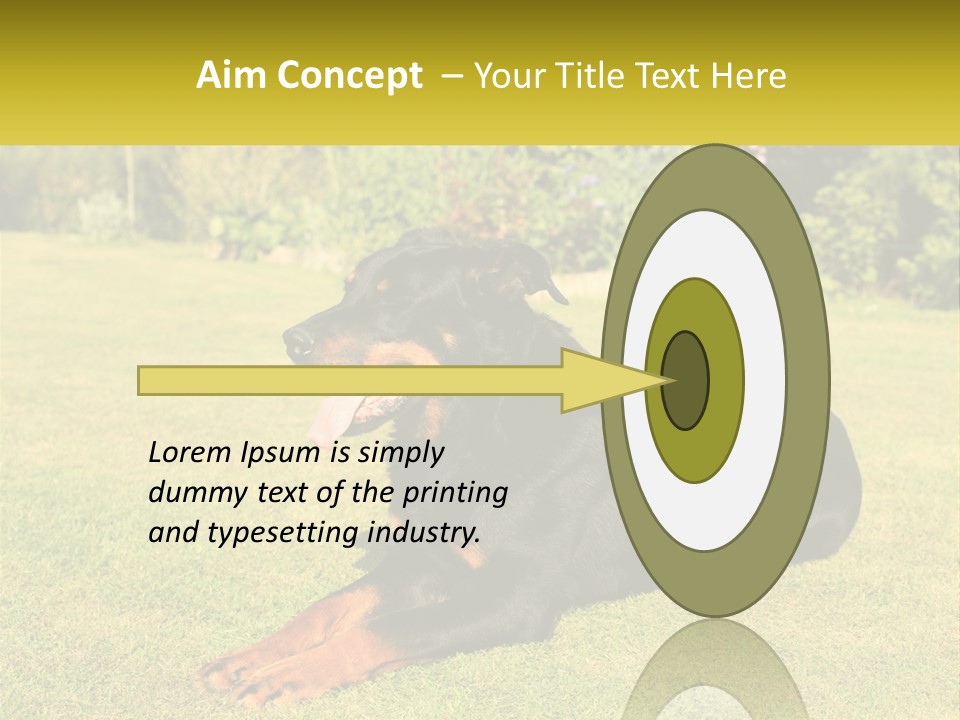 A Black And Brown Dog Laying On Top Of A Lush Green Field PowerPoint Template