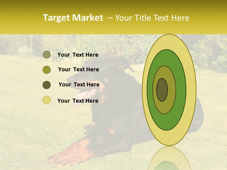 A Black And Brown Dog Laying On Top Of A Lush Green Field PowerPoint Template