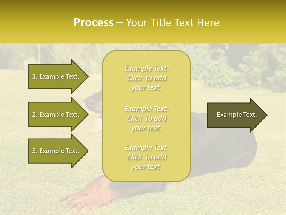 A Black And Brown Dog Laying On Top Of A Lush Green Field PowerPoint Template