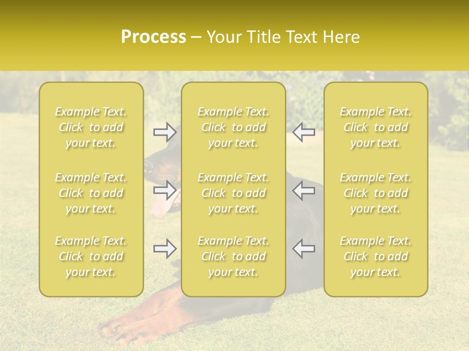 A Black And Brown Dog Laying On Top Of A Lush Green Field PowerPoint Template