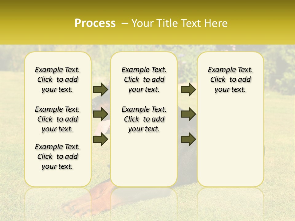 A Black And Brown Dog Laying On Top Of A Lush Green Field PowerPoint Template