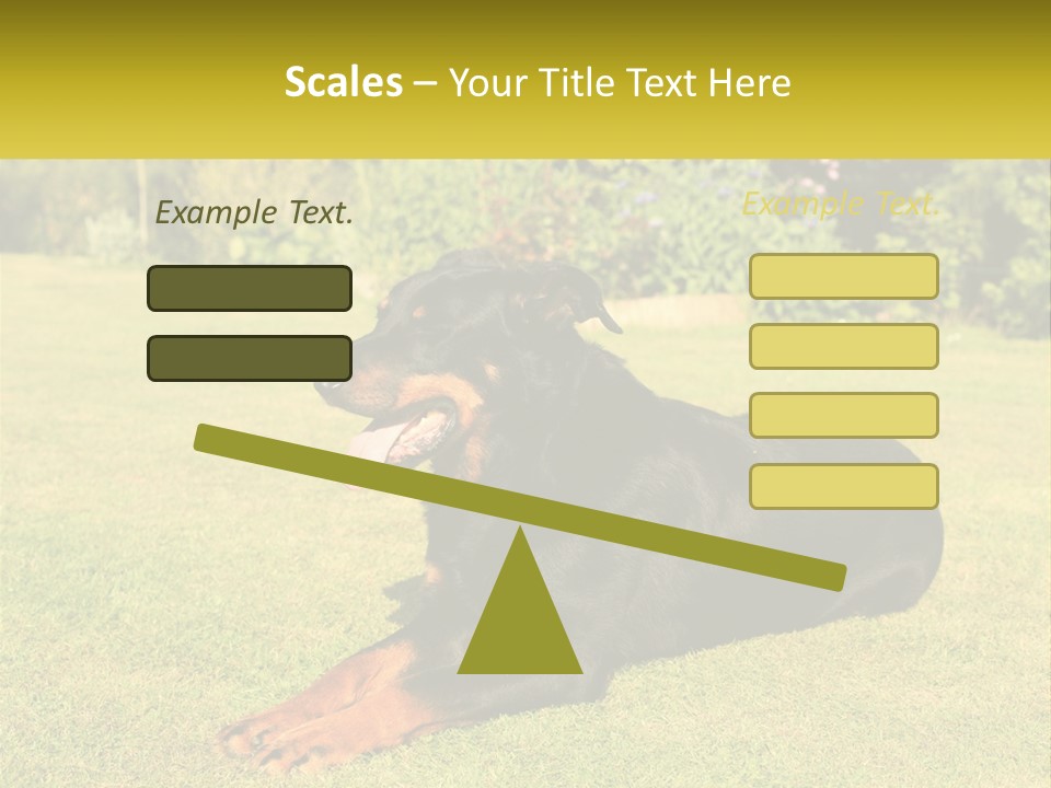 A Black And Brown Dog Laying On Top Of A Lush Green Field PowerPoint Template