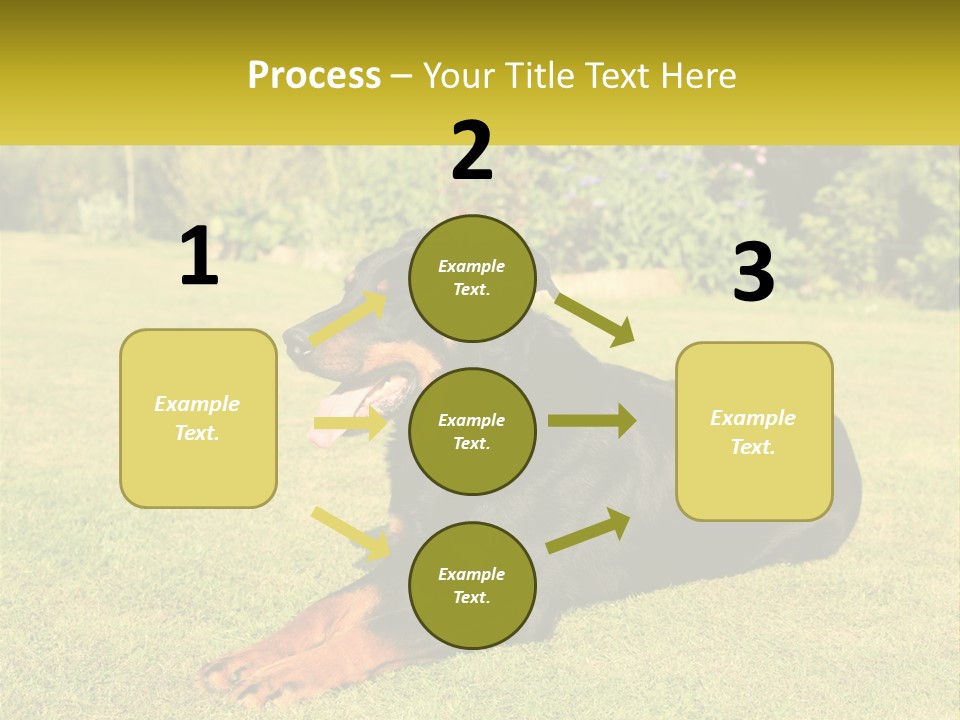 A Black And Brown Dog Laying On Top Of A Lush Green Field PowerPoint Template