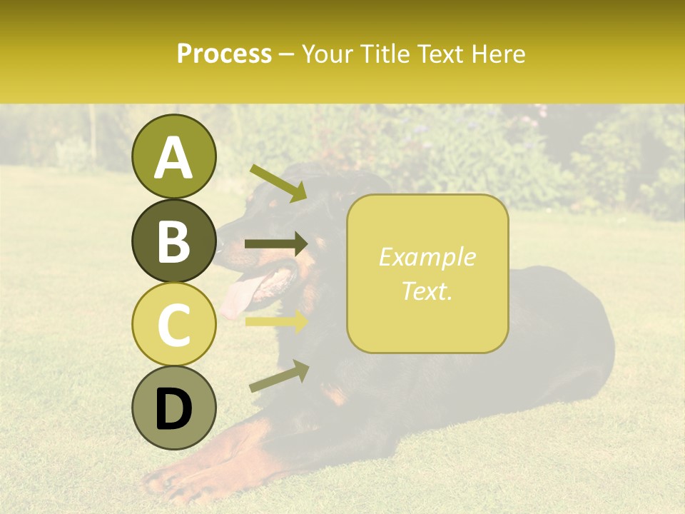 A Black And Brown Dog Laying On Top Of A Lush Green Field PowerPoint Template