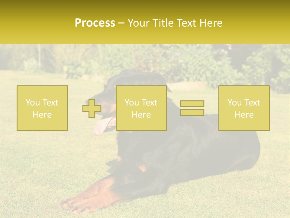 A Black And Brown Dog Laying On Top Of A Lush Green Field PowerPoint Template