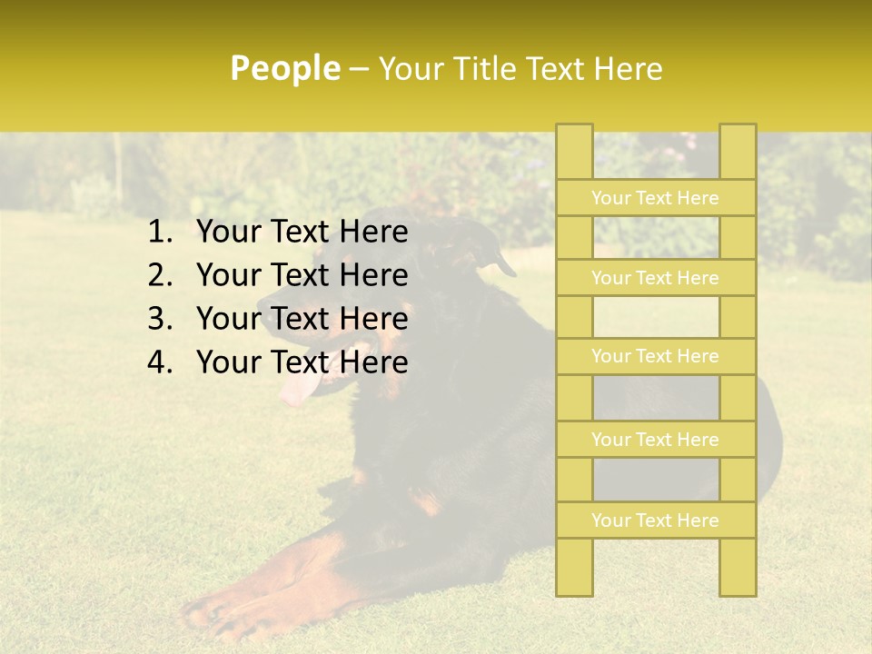 A Black And Brown Dog Laying On Top Of A Lush Green Field PowerPoint Template
