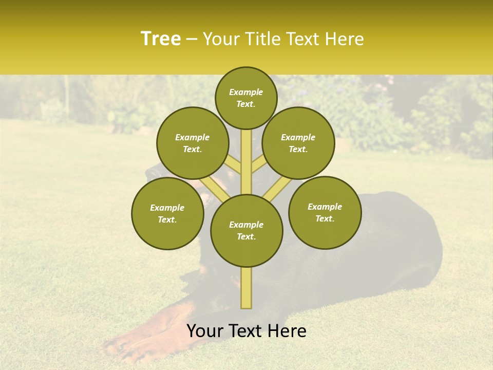 A Black And Brown Dog Laying On Top Of A Lush Green Field PowerPoint Template