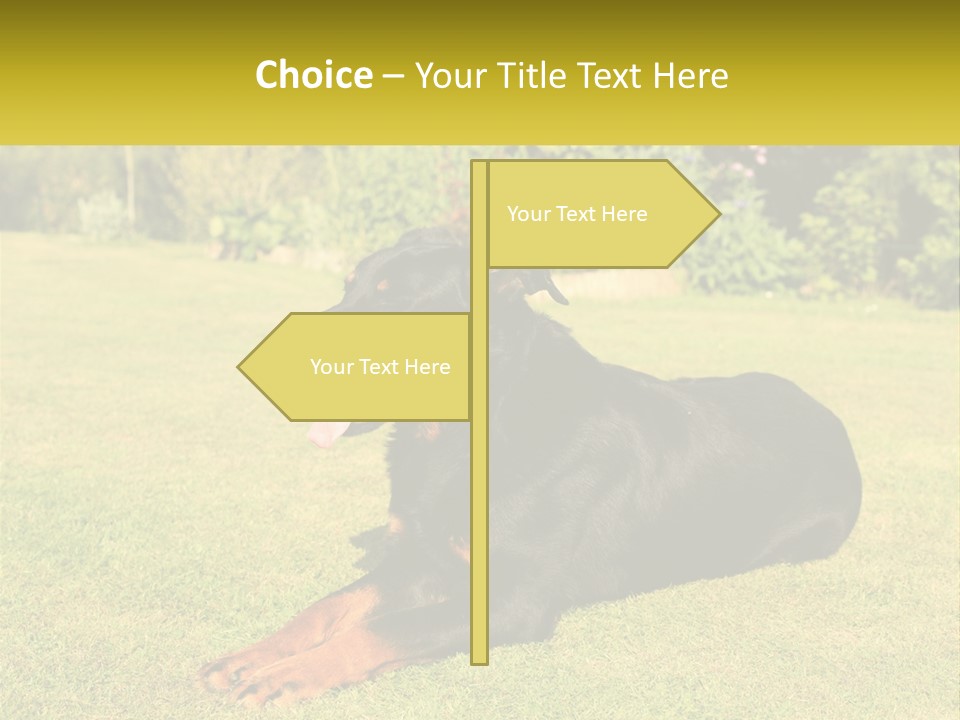 A Black And Brown Dog Laying On Top Of A Lush Green Field PowerPoint Template