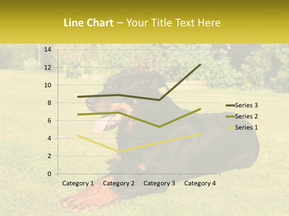 A Black And Brown Dog Laying On Top Of A Lush Green Field PowerPoint Template