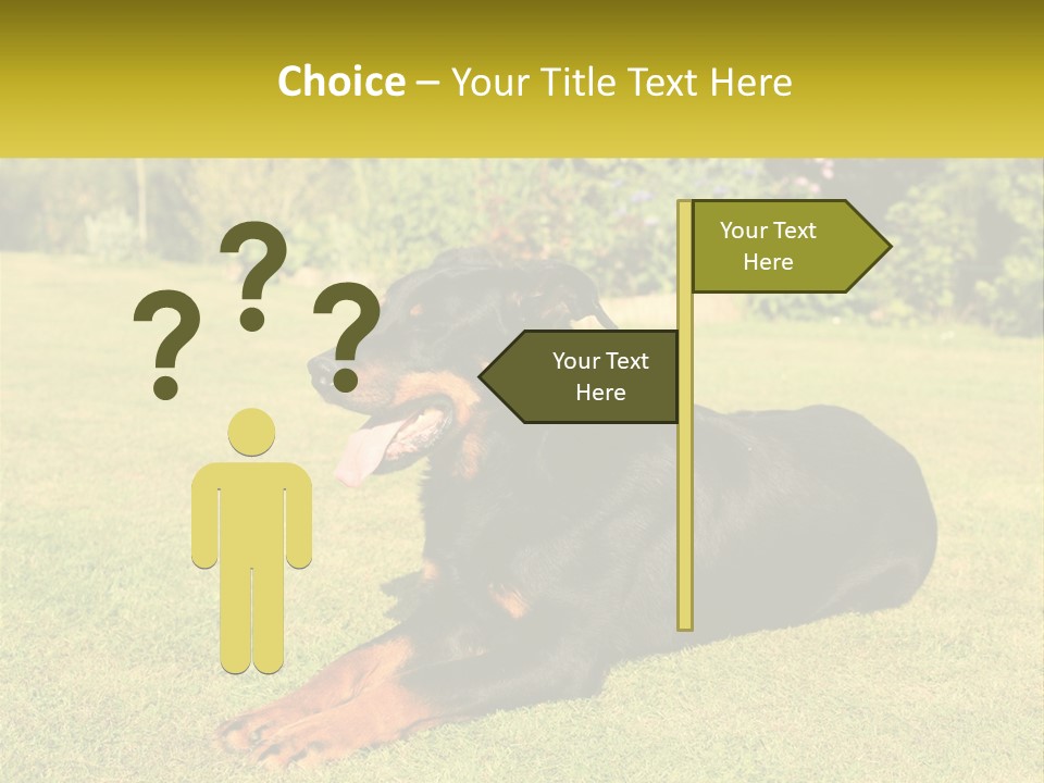 A Black And Brown Dog Laying On Top Of A Lush Green Field PowerPoint Template