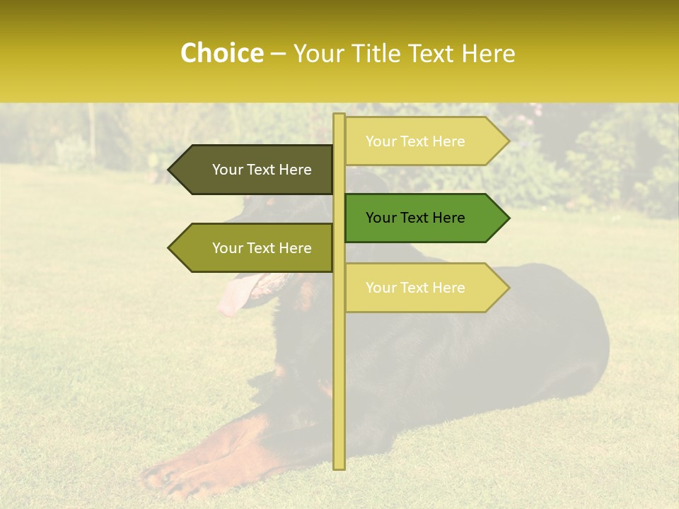 A Black And Brown Dog Laying On Top Of A Lush Green Field PowerPoint Template