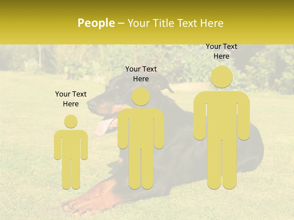 A Black And Brown Dog Laying On Top Of A Lush Green Field PowerPoint Template