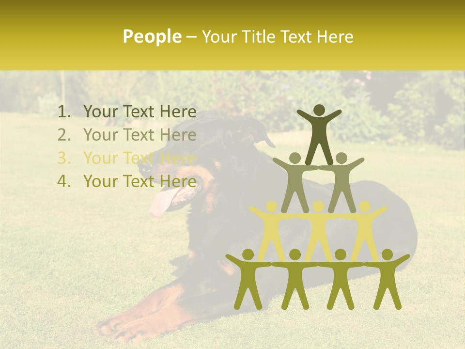 A Black And Brown Dog Laying On Top Of A Lush Green Field PowerPoint Template