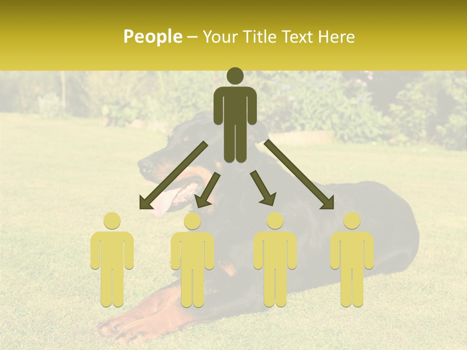 A Black And Brown Dog Laying On Top Of A Lush Green Field PowerPoint Template