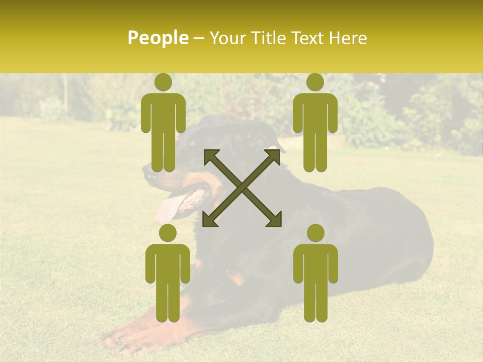 A Black And Brown Dog Laying On Top Of A Lush Green Field PowerPoint Template