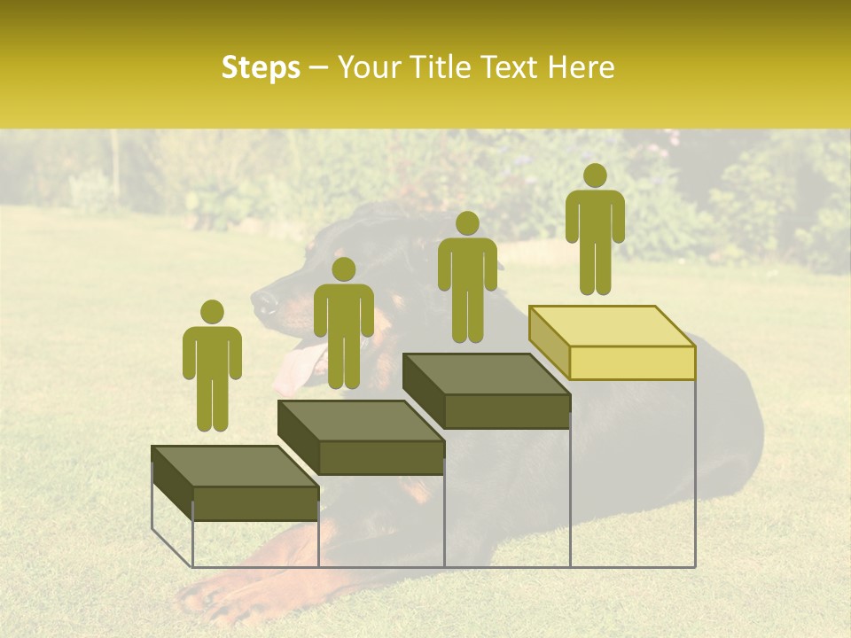 A Black And Brown Dog Laying On Top Of A Lush Green Field PowerPoint Template