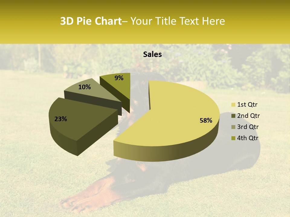 A Black And Brown Dog Laying On Top Of A Lush Green Field PowerPoint Template