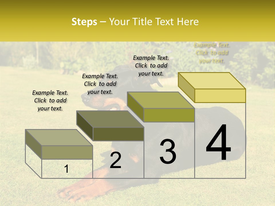 A Black And Brown Dog Laying On Top Of A Lush Green Field PowerPoint Template