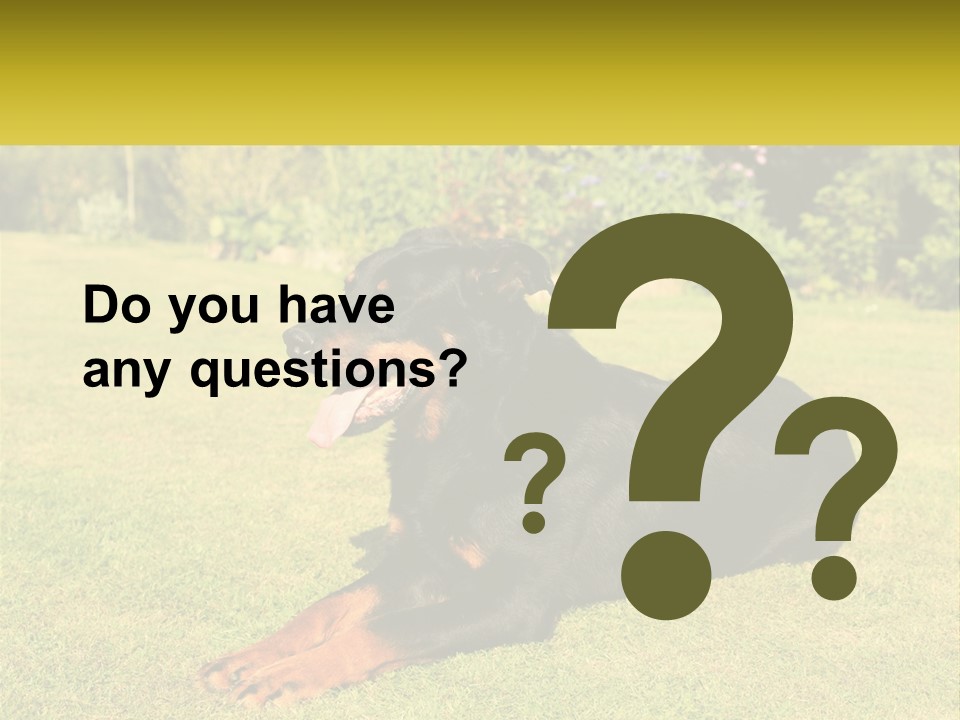 A Black And Brown Dog Laying On Top Of A Lush Green Field PowerPoint Template