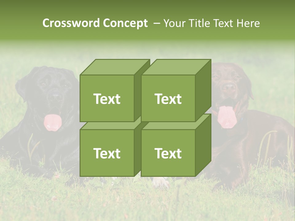 Three Dogs Laying In The Grass With Their Tongues Out PowerPoint Template