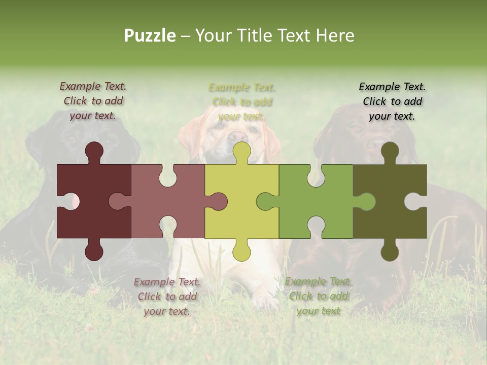 Three Dogs Laying In The Grass With Their Tongues Out PowerPoint Template