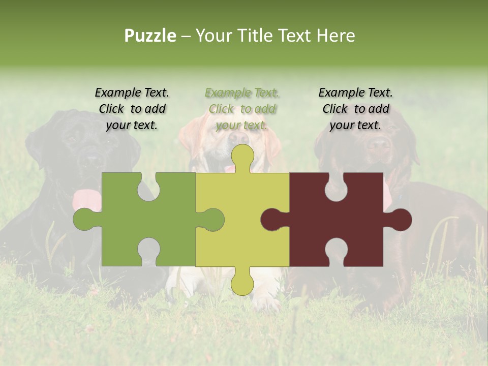 Three Dogs Laying In The Grass With Their Tongues Out PowerPoint Template