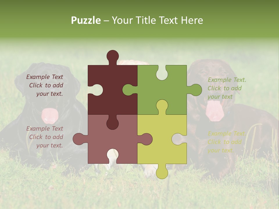 Three Dogs Laying In The Grass With Their Tongues Out PowerPoint Template