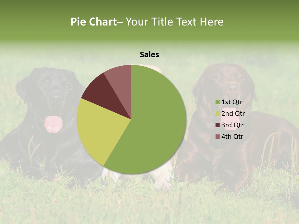 Three Dogs Laying In The Grass With Their Tongues Out PowerPoint Template