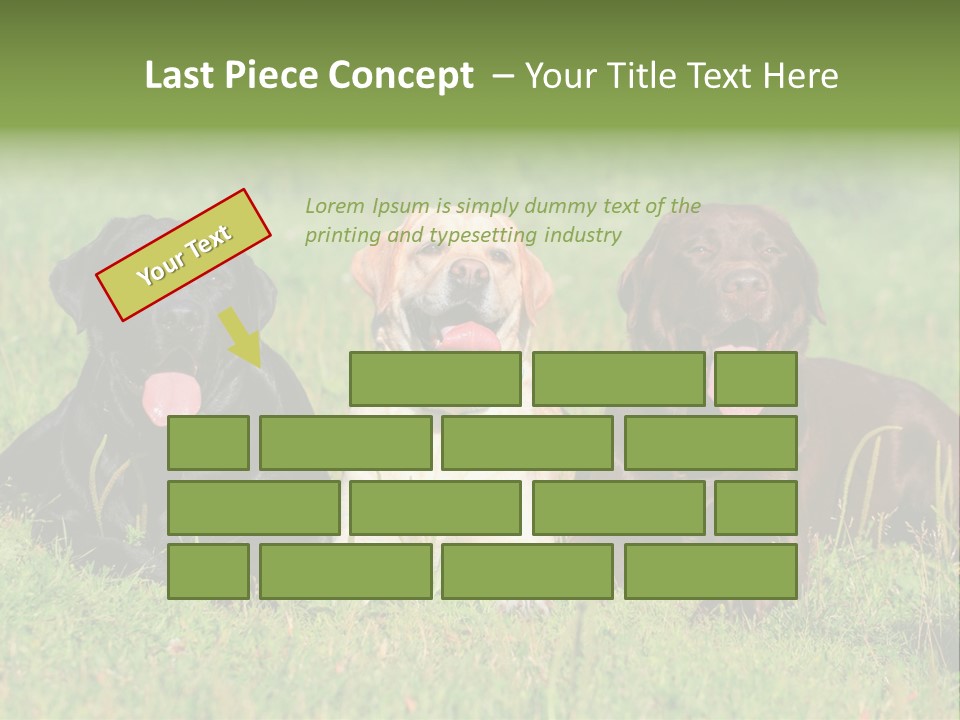 Three Dogs Laying In The Grass With Their Tongues Out PowerPoint Template