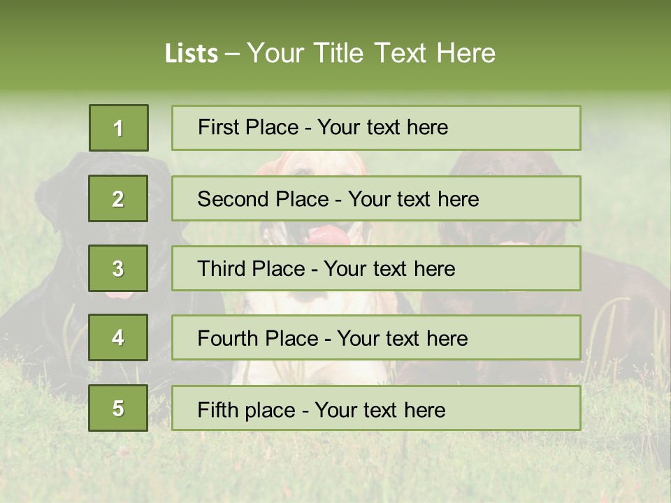 Three Dogs Laying In The Grass With Their Tongues Out PowerPoint Template