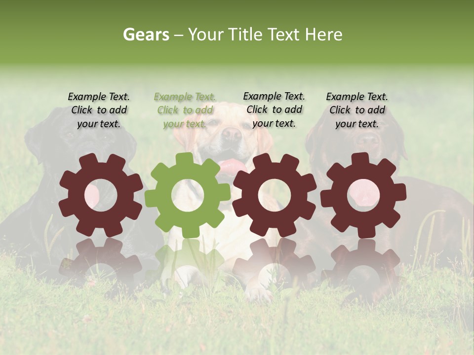 Three Dogs Laying In The Grass With Their Tongues Out PowerPoint Template