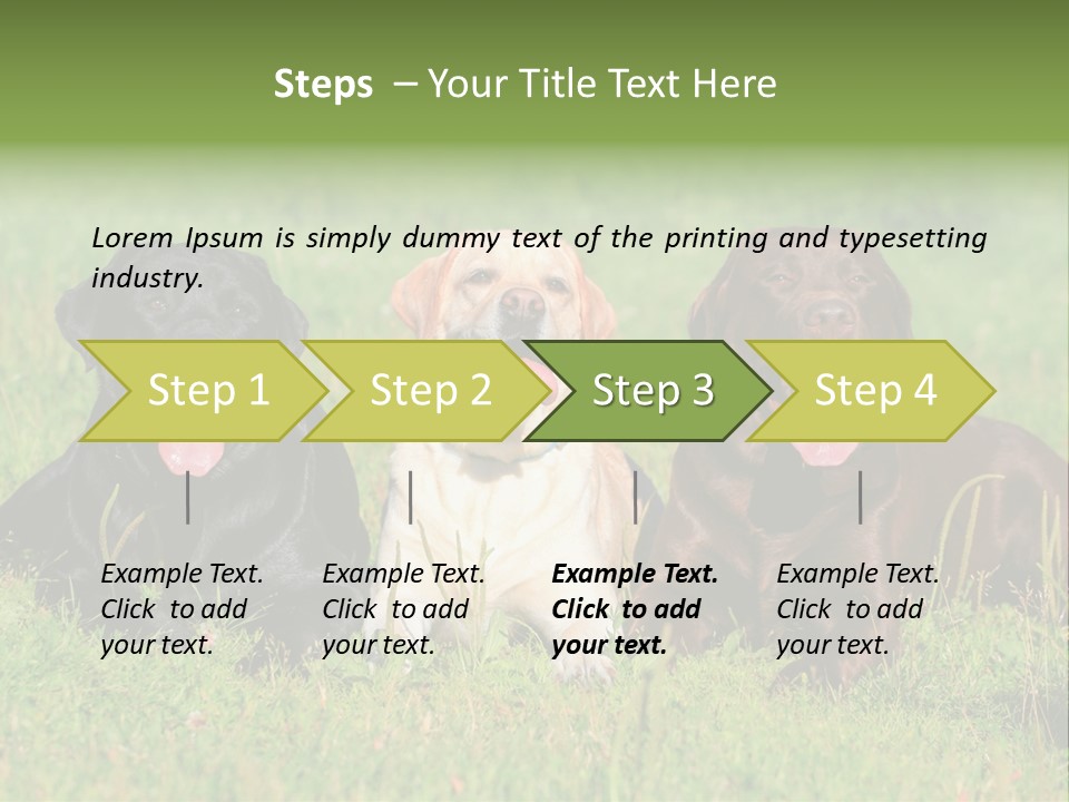 Three Dogs Laying In The Grass With Their Tongues Out PowerPoint Template