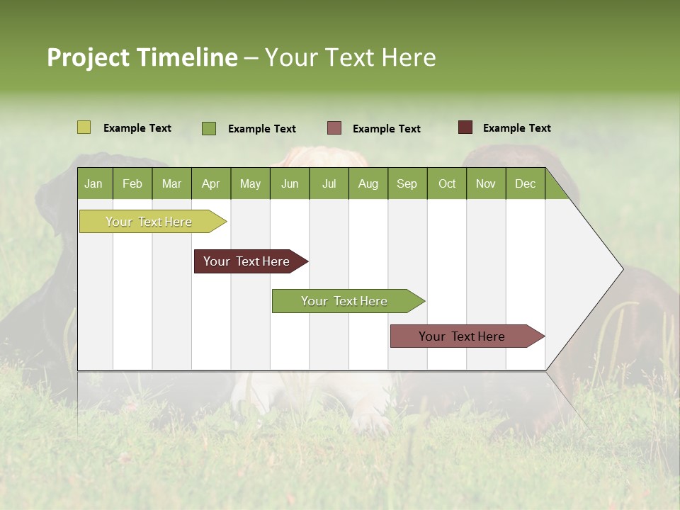 Three Dogs Laying In The Grass With Their Tongues Out PowerPoint Template
