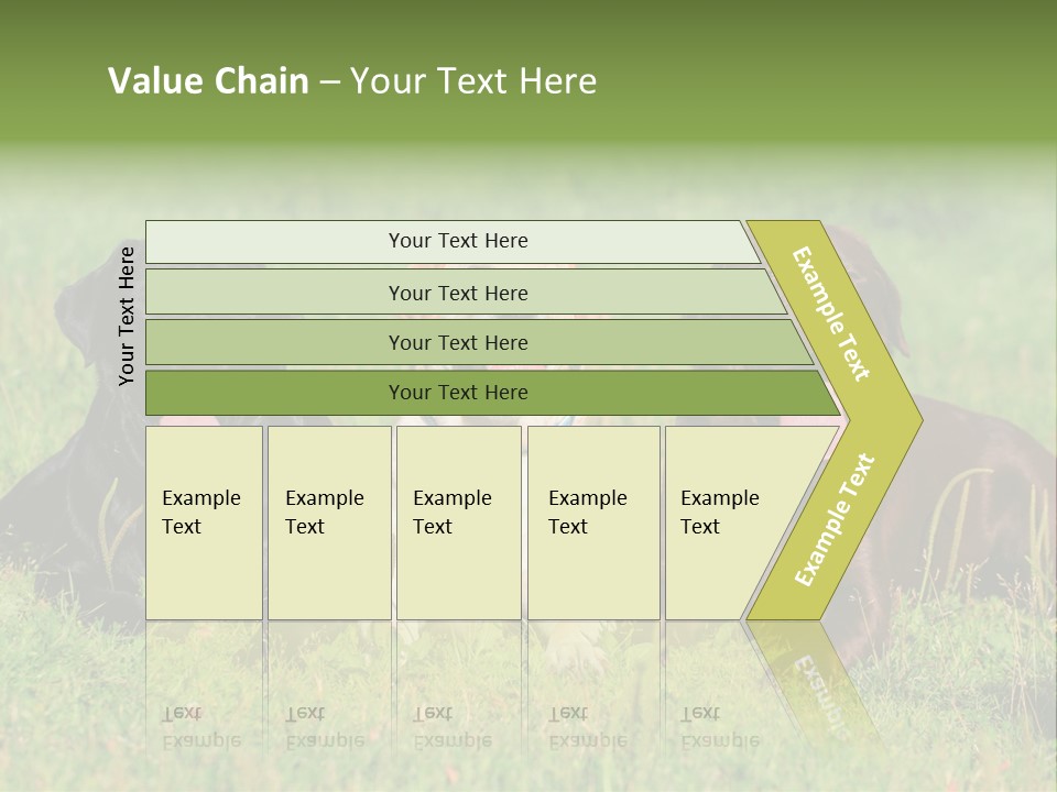 Three Dogs Laying In The Grass With Their Tongues Out PowerPoint Template