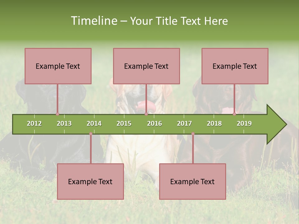Three Dogs Laying In The Grass With Their Tongues Out PowerPoint Template