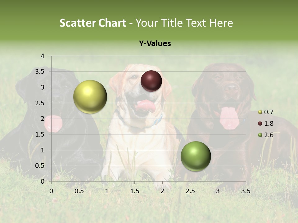 Three Dogs Laying In The Grass With Their Tongues Out PowerPoint Template