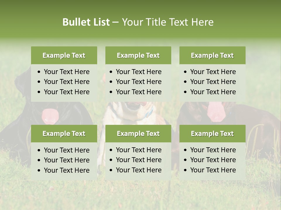 Three Dogs Laying In The Grass With Their Tongues Out PowerPoint Template