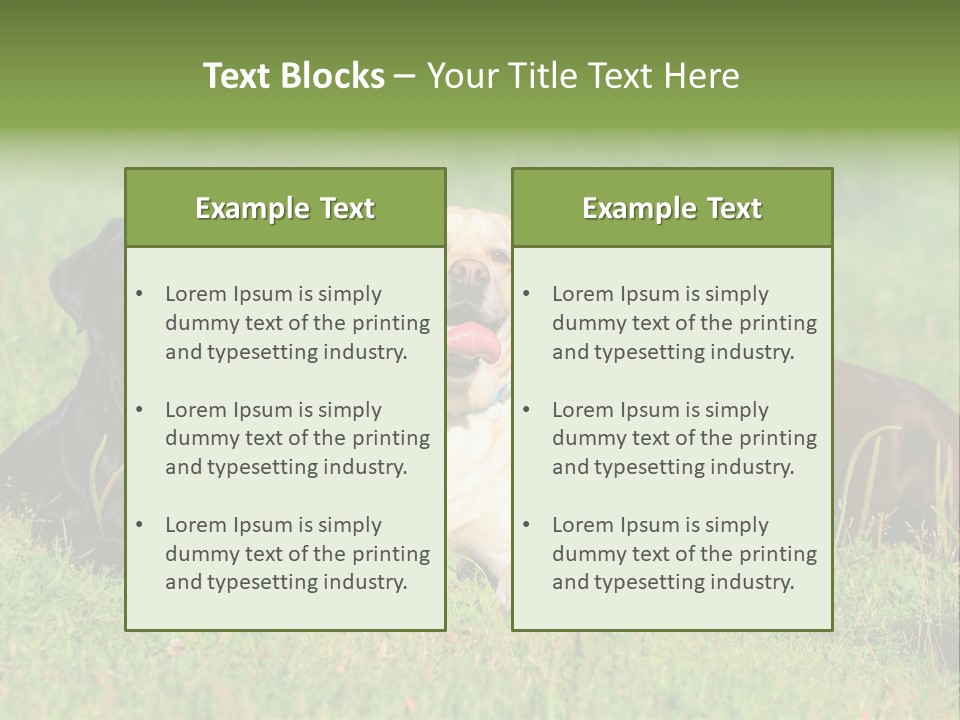 Three Dogs Laying In The Grass With Their Tongues Out PowerPoint Template