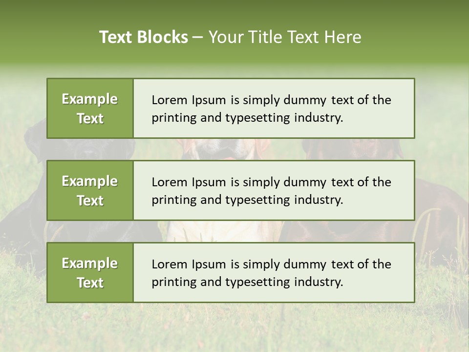 Three Dogs Laying In The Grass With Their Tongues Out PowerPoint Template