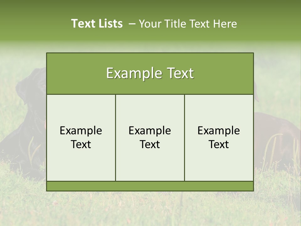 Three Dogs Laying In The Grass With Their Tongues Out PowerPoint Template