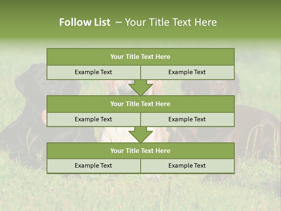 Three Dogs Laying In The Grass With Their Tongues Out PowerPoint Template
